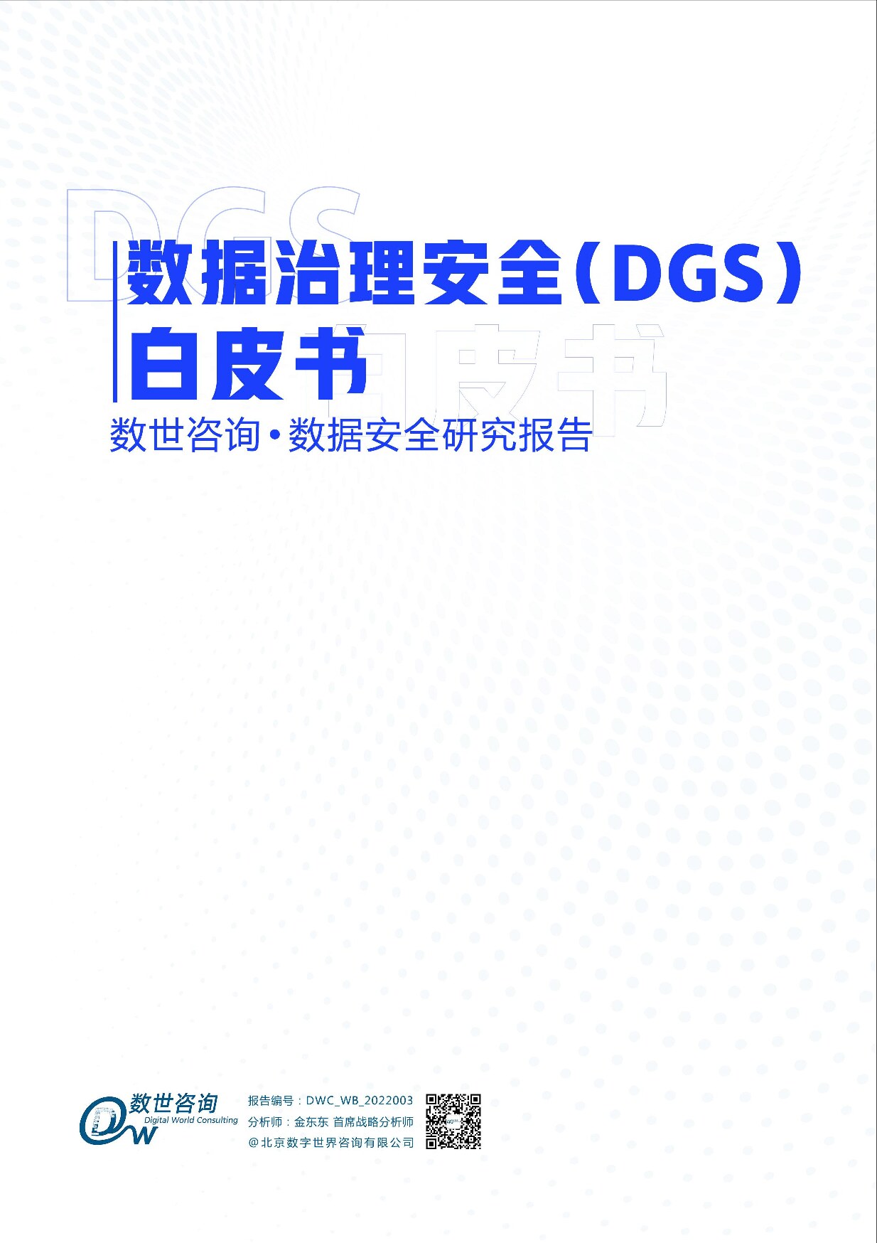 数据治理安全（DGS）白皮书-30页